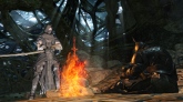 Dark Souls 2 Dark Souls 2