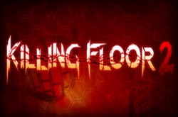  Killing Floor 2 + :   ?