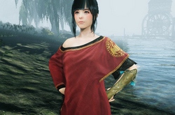 Black Desert Online:   