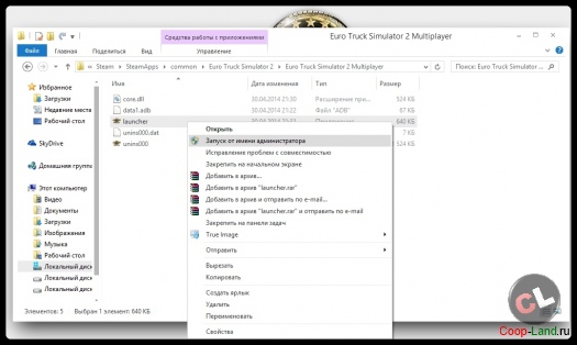   Euro Truck Simulator 2 Multiplayer