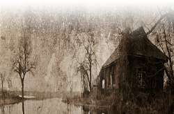 S.T.A.L.K.E.R Autumn Aurora 2