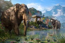 Far Cry 4: сражаемся на арене и знакомимся со слониками