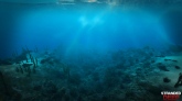 Stranded Deep: , ,   