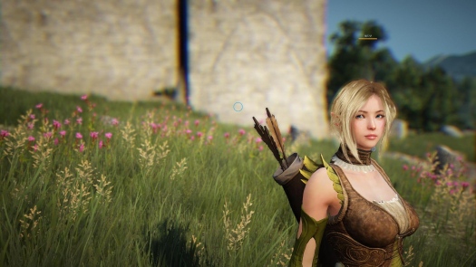 Black Desert Online -      !