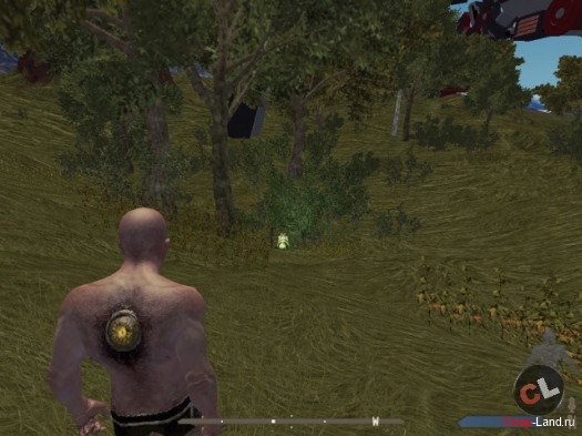 ����� StarForge � ��������� � �����������