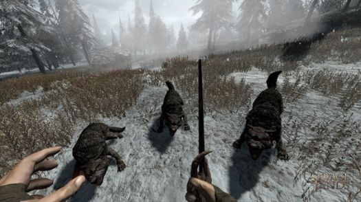 Savage Lands -    