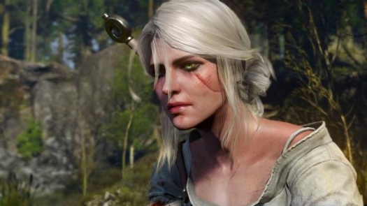  The Witcher 3: Wild Hunt       