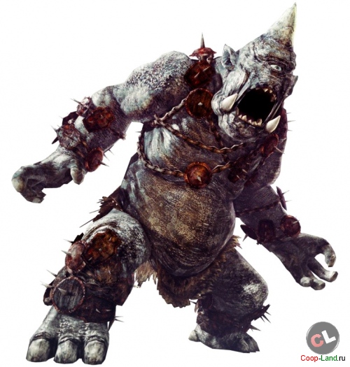   Dragons Dogma Online +   