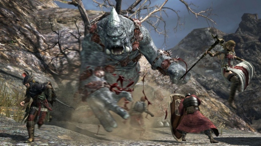   Dragons Dogma Online +   