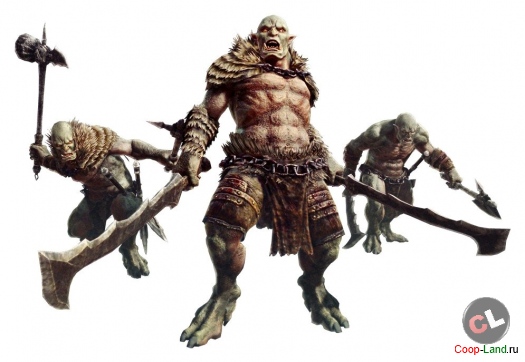   Dragons Dogma Online +   