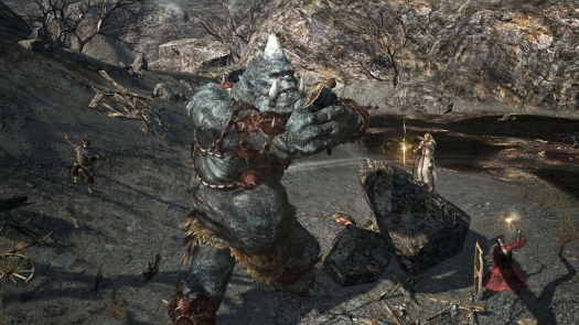   Dragons Dogma Online +   