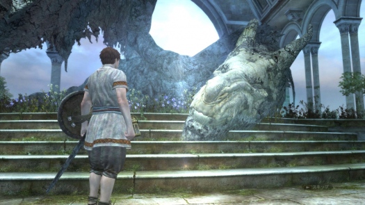   Dragons Dogma Online +   