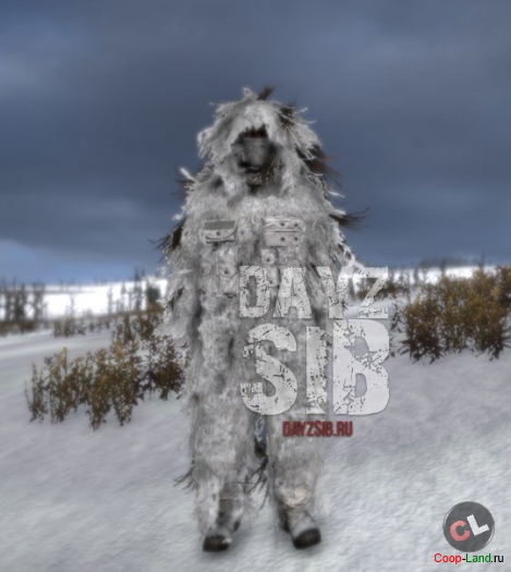   DayZ Standalone nosteam     