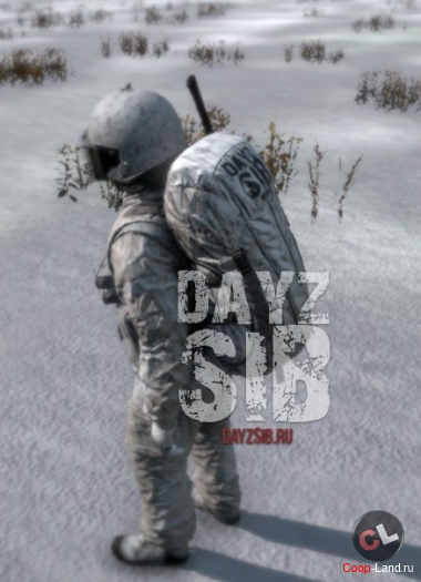   DayZ Standalone nosteam     