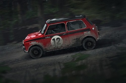 Приехали. DiRT Rally стартовала в раннем доступе Steam