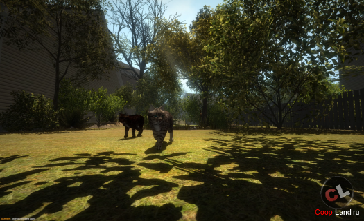 Feral: ������� �����, ������ � ������� ���