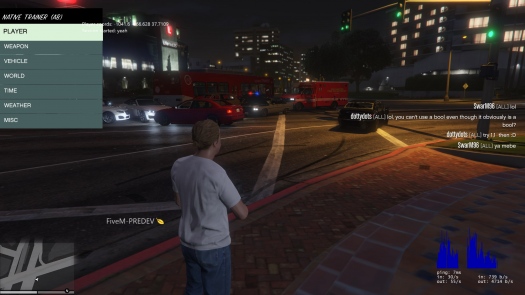 FiveM -    GTA V   ?