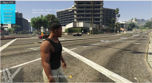 FiveM -    GTA V   ?