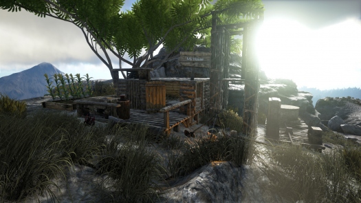 ARK: Survival Evolved -   ! ()