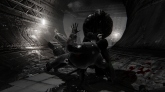 Hatred [   2015]