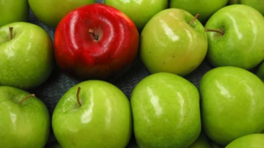 ����: ���� � ������� ��������� ���������� ���