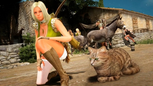  Black Desert Online |    