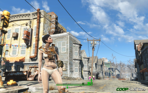 Fallout 4,       