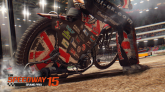 FIM Speedway Grand Prix 15