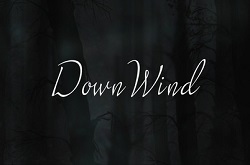 Down Wind: простая с виду, но красивая в душе