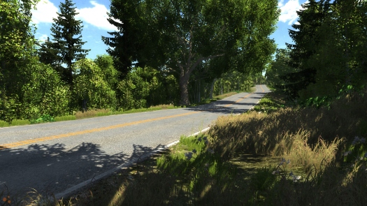    BeamNG Drive?  :  ,    