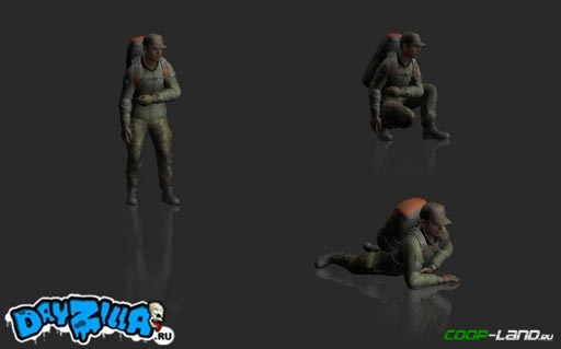 DayZ Standalone   ?