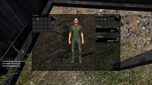 DayZ Standalone   ?