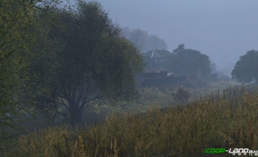 DayZ Standalone   ?