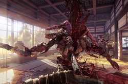  Shadow Warrior 2      ?