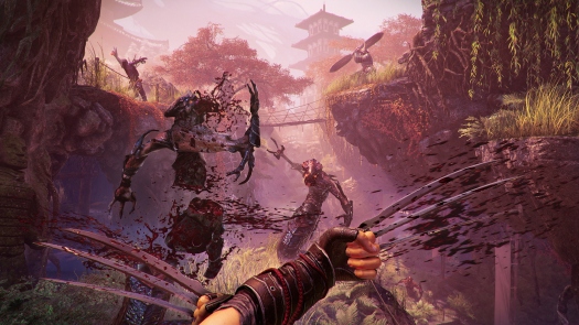  Shadow Warrior 2      ?