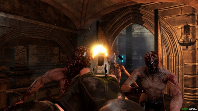 Killing Floor 2         Football Manager 2017