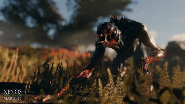 ����� ���� � ����� � Gaijin ��������� ���� ��������� ���