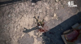 Last Man Standing в России и СНГ получит бесплатный статус и станет доступной 4 июля 2017 Last Man Standing в России и СНГ получит бесплатный статус и станет доступной 4 июля 2017