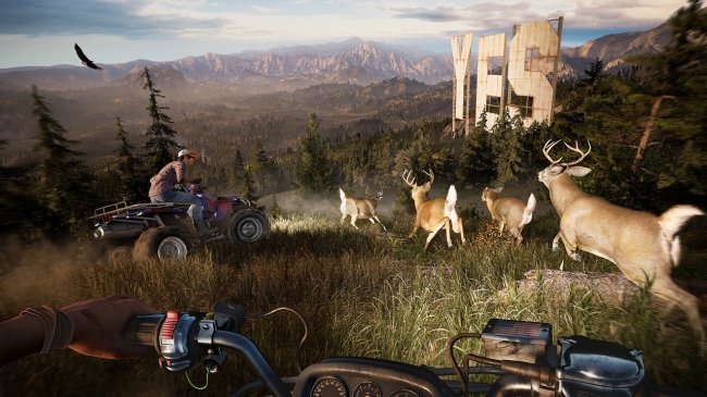 Ubisoft     Far Cry 5   ,       