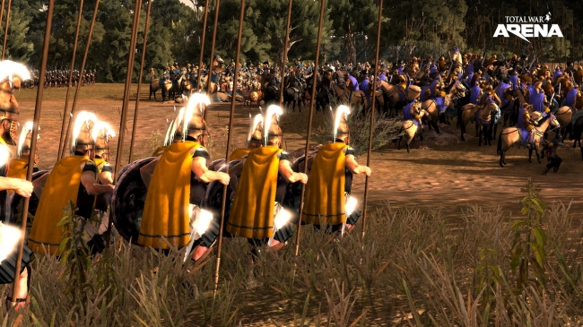  Total War: ARENA    -,       