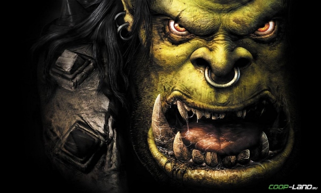  Warcraft III           