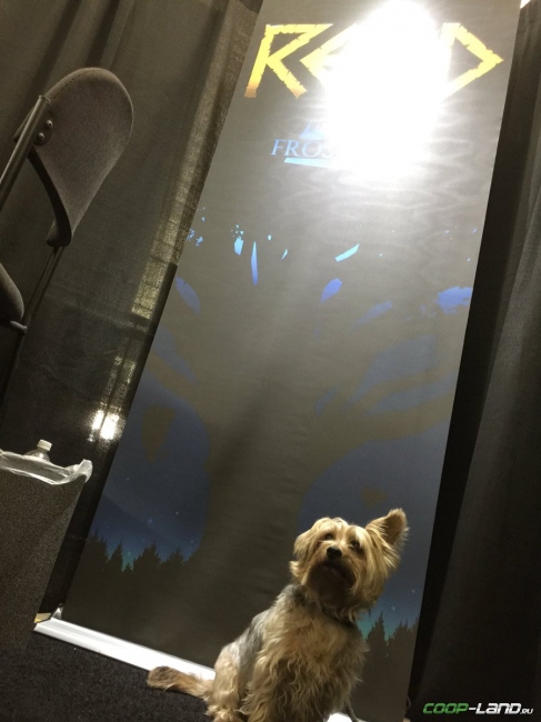  PAX East 2018. 