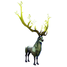 Rend -  Stag