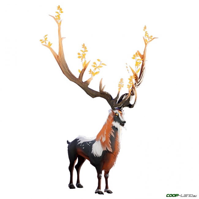 Rend -  Stag