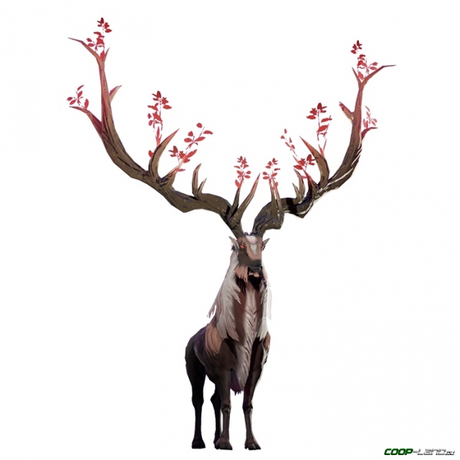 Rend -  Stag
