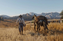 17    Rockstar Games