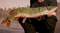 Fishing Sim World Fishing Sim World
