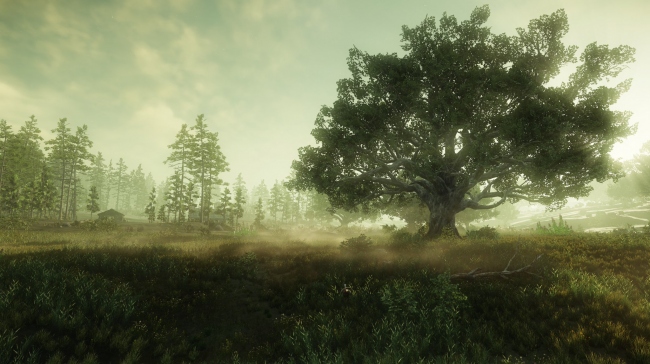 Amazon ������ MMORPG New World � ����� �����-��������