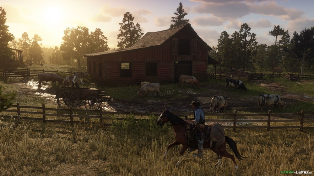      Red Dead Redemption 2