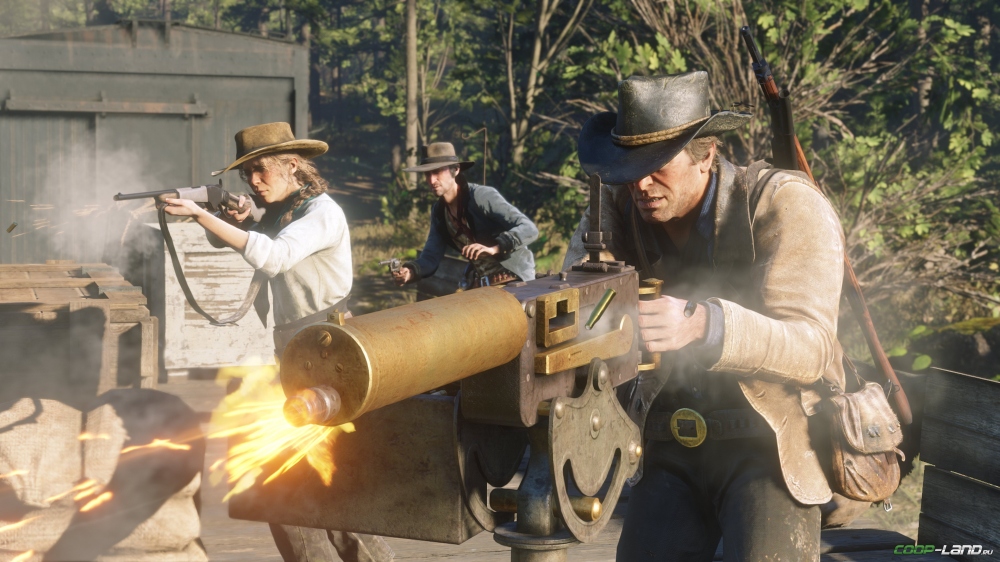      Red Dead Redemption 2